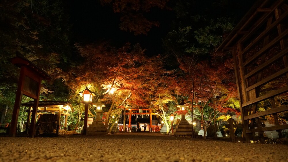 大原野神社の紅葉ライトアップ　2021年11月19日　撮影：MKタクシー