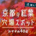 【2023年最新版】混雑しない京都の紅葉穴場スポットおすすめ40選