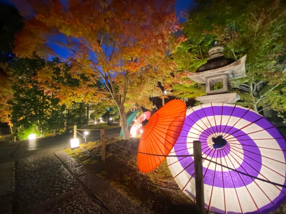 勝林寺の紅葉ライトアップ　2021年11月11日　撮影：MKタクシー