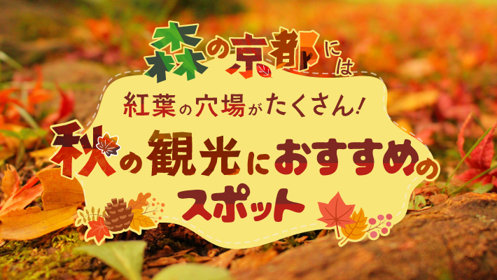「森の京都」には紅葉の穴場がたくさん！秋の観光におすすめのスポット12選
