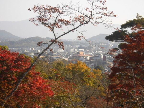 亀山公園から見た双ヶ岡方面と紅葉　11月13日　撮影：MKタクシー