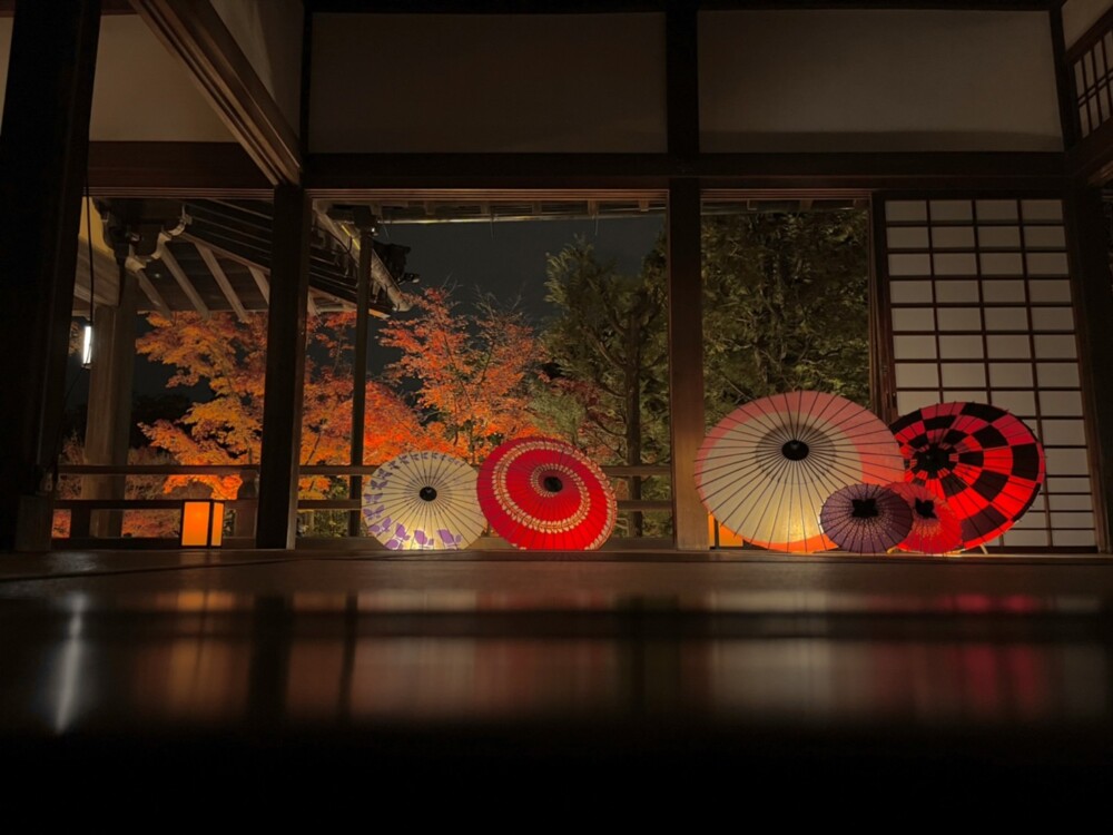 勝林寺の紅葉ライトアップ　2021年11月25日　撮影：MKタクシー