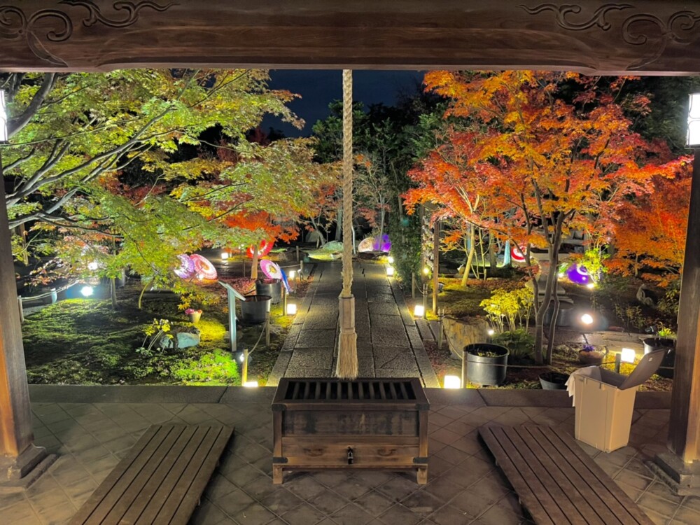 勝林寺の紅葉ライトアップ　2021年11月25日　撮影：MKタクシー