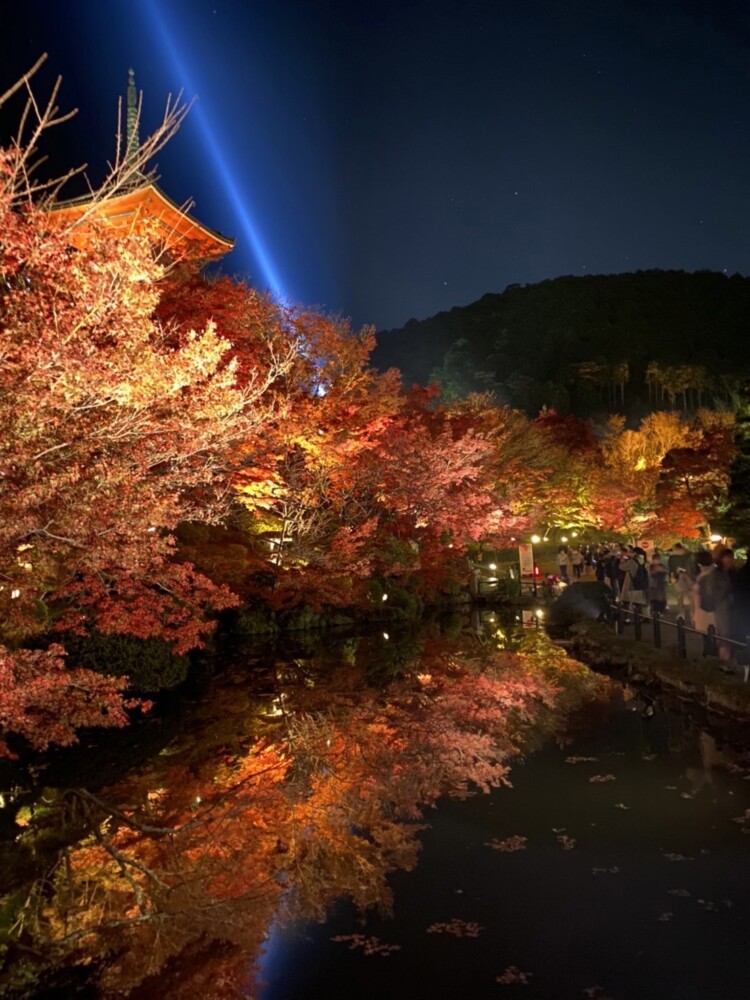 清水寺・三重塔と紅葉ライトアップ　2021年11月25日　撮影：MKタクシー
