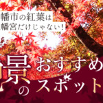 京都・八幡市の紅葉は石清水八幡宮だけじゃない！絶景のおすすめスポット8選