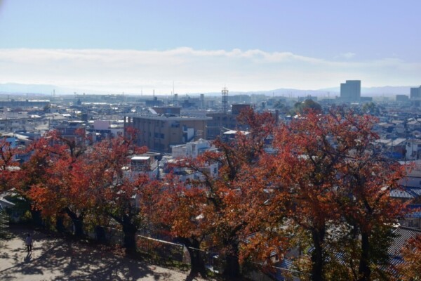 向日神社から南東方面の眺望と紅葉　2019年11月23日　見頃　撮影：MKタクシー