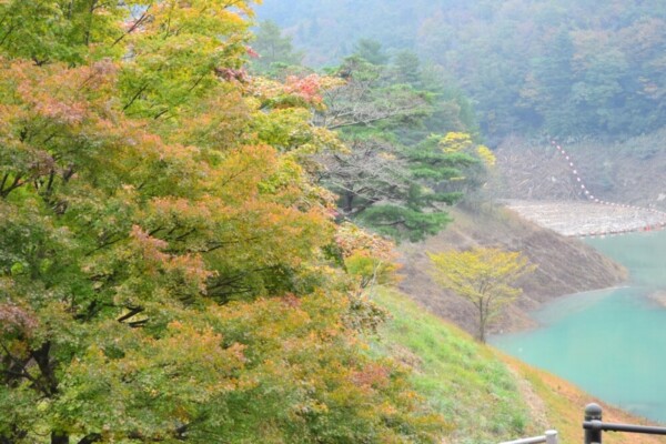 大野ダム公園の紅葉　色づきはじめ　2017年11月3日　撮影：MKタクシー