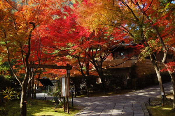 しょうざん日本庭園の紅葉　見頃　2007年12月1日　撮影：MKタクシー