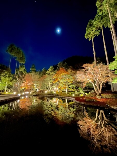 しょうざん日本庭園の紅葉ライトアップ　見頃　2020年11月24日　撮影：MKタクシー