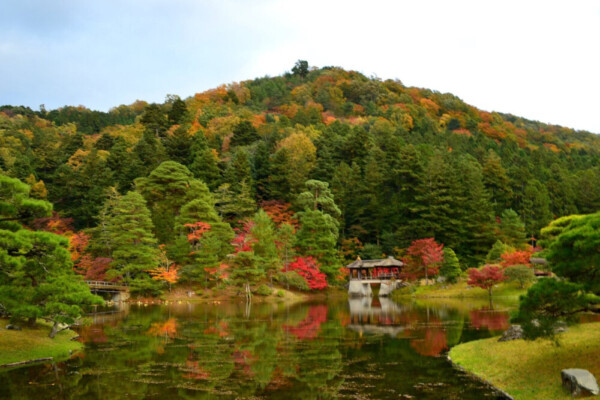 上離宮・浴龍池の紅葉 見頃 2017年11月11日 撮影:MKタクシー