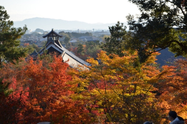 【7:53】早朝参拝での望京の丘から見た庫裏と紅葉　2017年11月25日　撮影：MKタクシー
