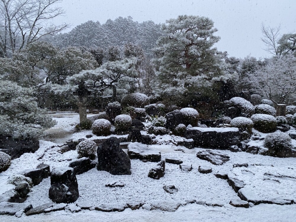 妙満寺の雪の庭　2022年1月20日　撮影：MKタクシー