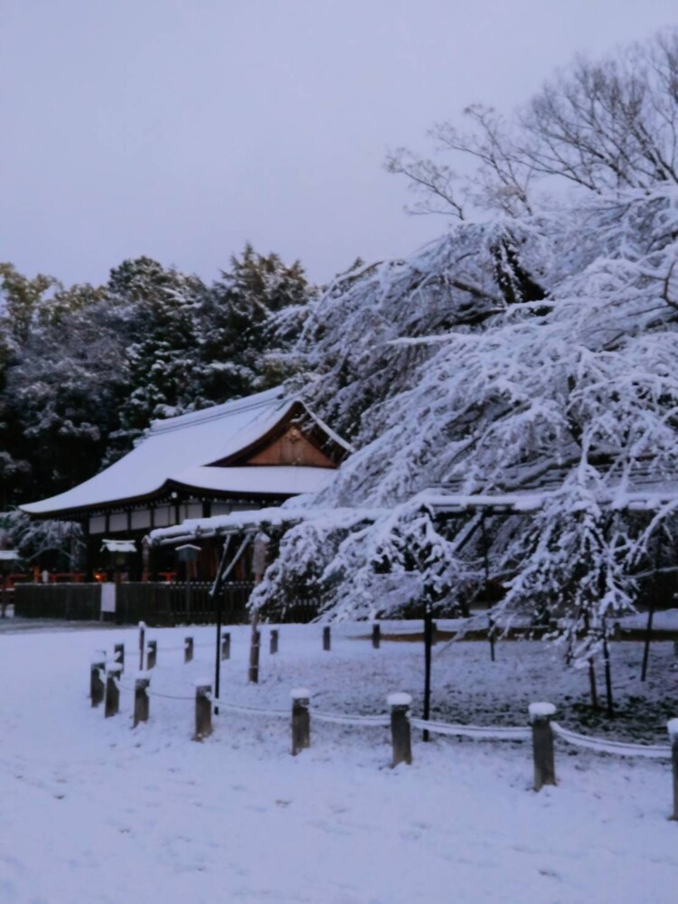 雪の上賀茂神社　2022年1月1日　撮影：MKタクシー