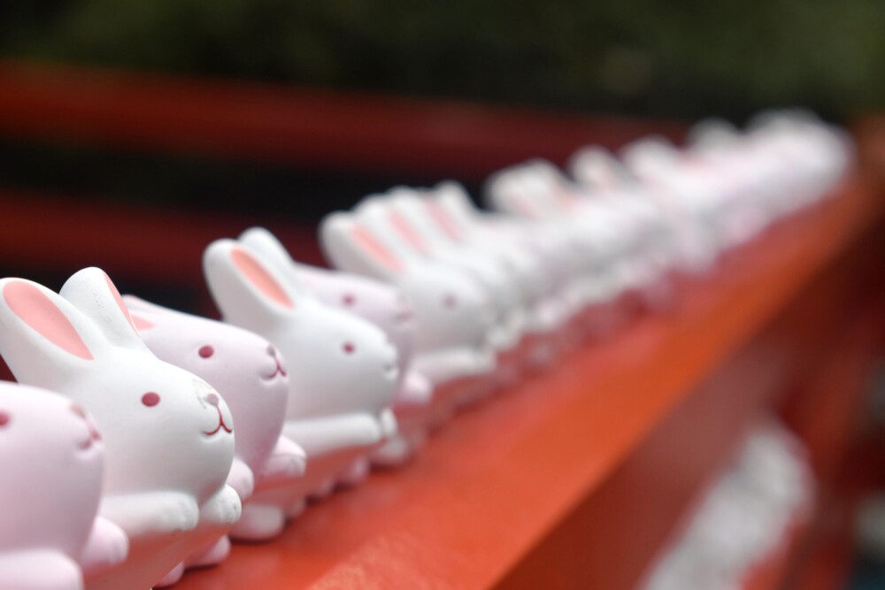 岡崎神社のうさぎみくじ　撮影：MKタクシー
