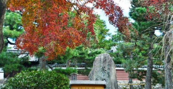 建仁寺・茶碑と紅葉　散り始め　12月15日　撮影：MKタクシー