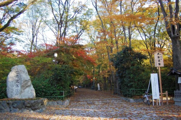 糺の森・御蔭通口から見た紅葉 見頃近し 12月2日 撮影:MKタクシー