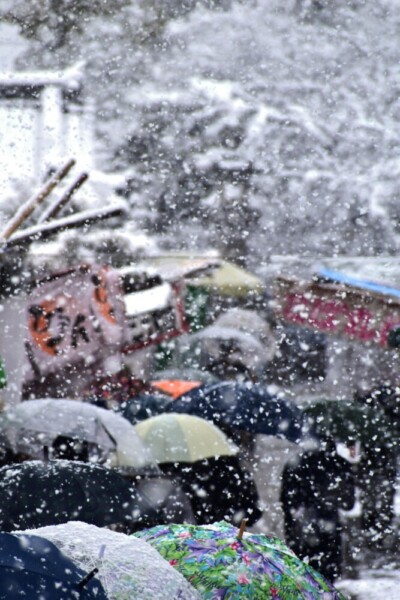 大雪に見舞われた初弘法　2022年1月21日　撮影：MKタクシー