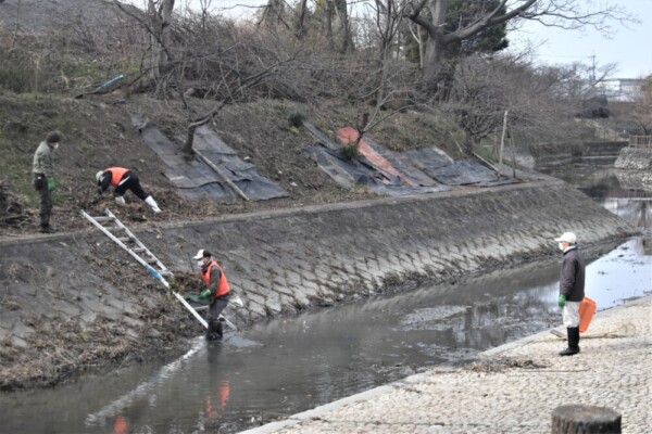 淀水路の清掃ボランティア活動　2022年2月19日　撮影：MKタクシー