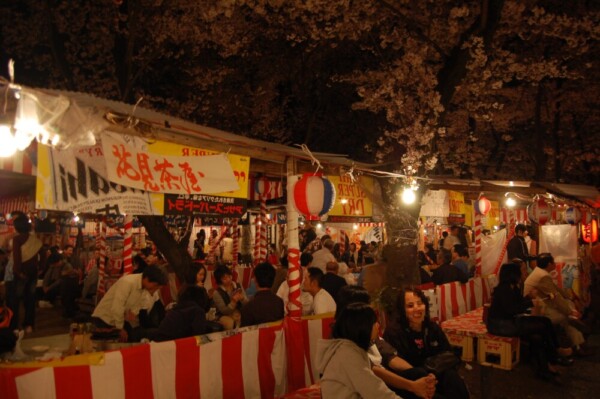 平野神社の桜茶屋と夜桜　2008年4月6日　撮影：MKタクシー