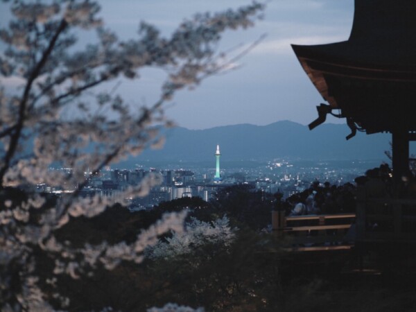 清水寺の桜と京都タワー　2021年3月27日　撮影：MKタクシー