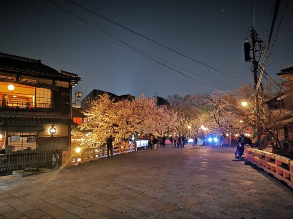 祇園白川の桜ライトアップ　2021年3月29日　撮影：MKタクシー