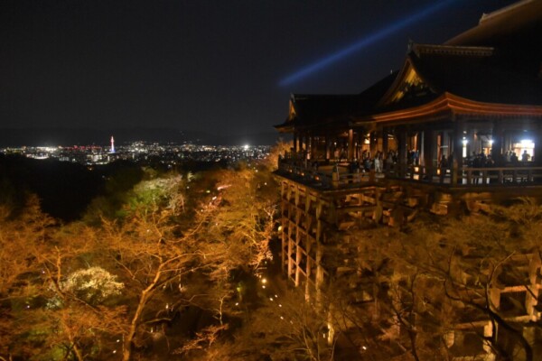 清水寺の舞台と桜ライトアップ　2022年3月28日　撮影：MKタクシー