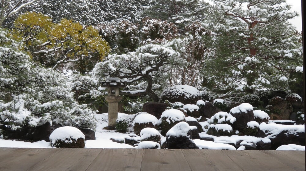 妙満寺・雪の庭　2024年1月25日　撮影：MKタクシー