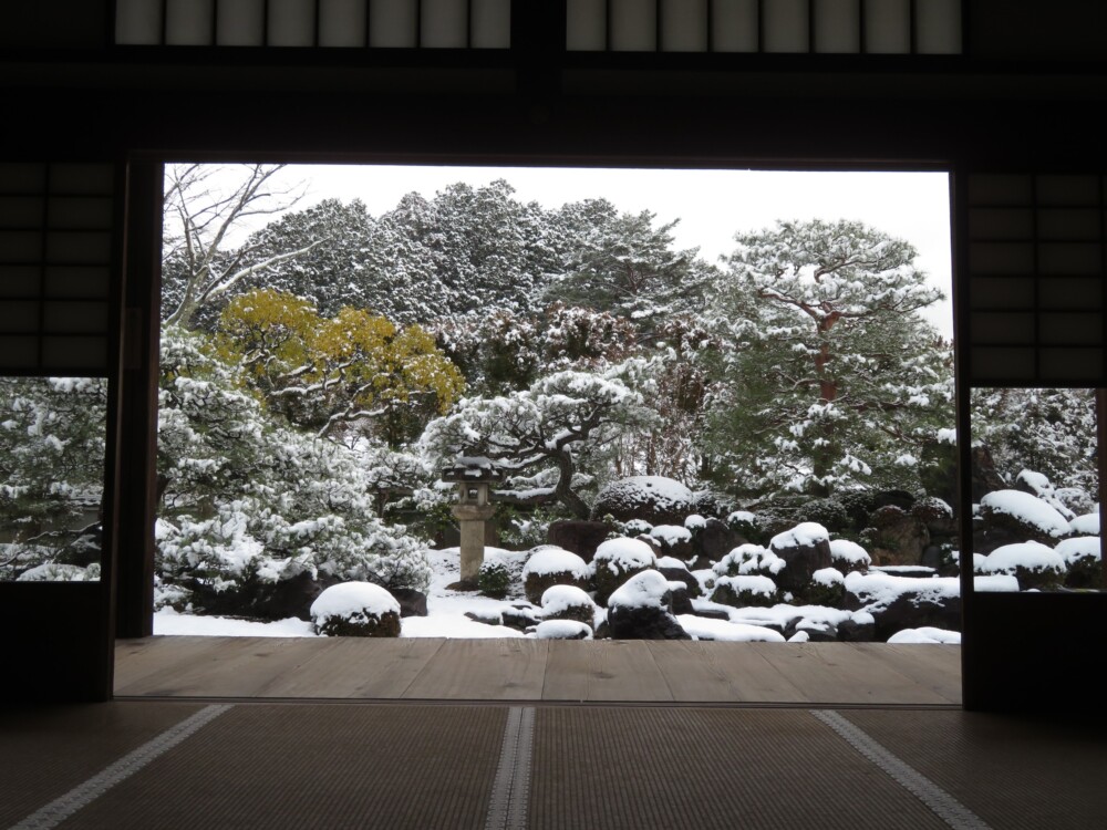 妙満寺・雪の庭　2024年1月25日　撮影：MKタクシー