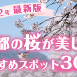 【2022年最新版】京都の桜が美しい絶景おすすめスポット30選