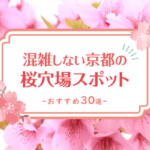 【2023年最新版】混雑しない京都の桜穴場スポットおすすめ30選