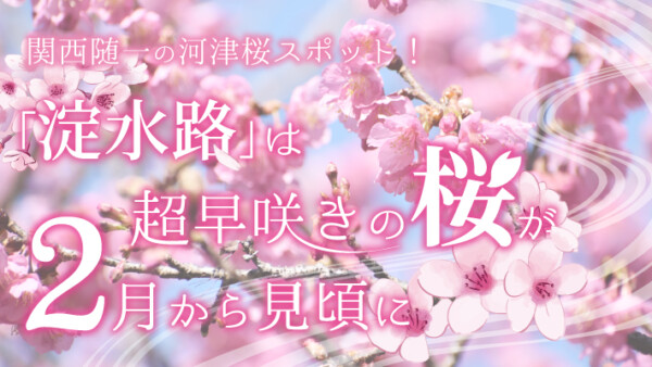 関西随一！「淀の河津桜」は超早咲きで2022年は3月上旬から見頃に
