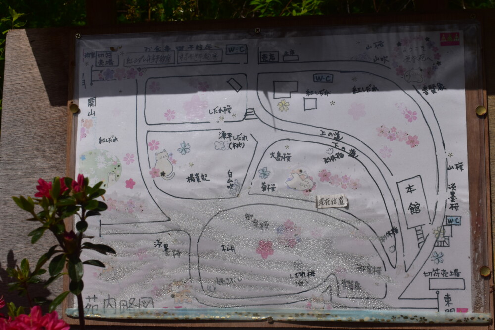 原谷苑の略図　2021年4月18日　撮影：MKタクシー