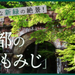 鮮やかな新緑の絶景！京都の「青もみじ」おすすめスポット20選