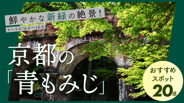 鮮やかな新緑の絶景！京都の「青もみじ」おすすめスポット20選