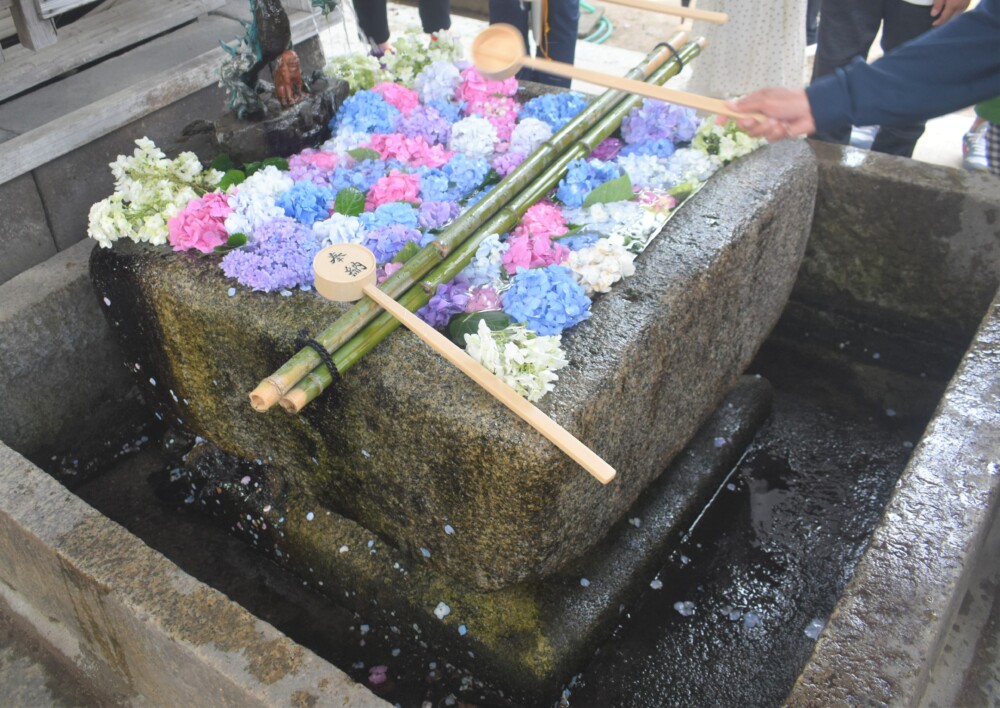 藤森神社の花手水と台石　2022年6月19日　撮影：MKタクシー
