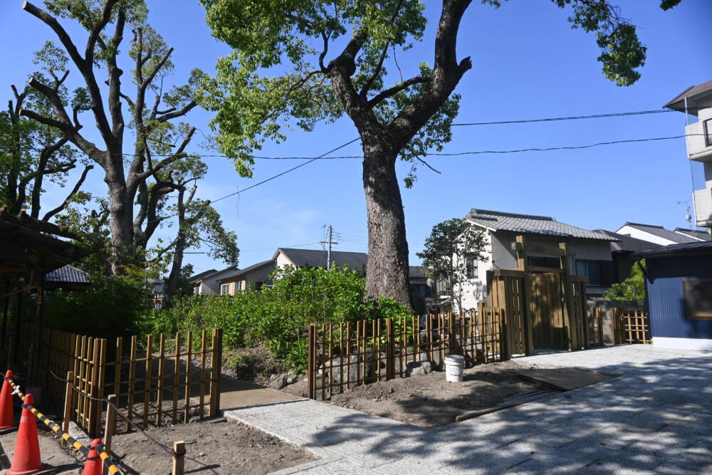 整備工事が進む藤森神社の第一紫陽花苑　2023年5月11日　撮影：MKタクシー