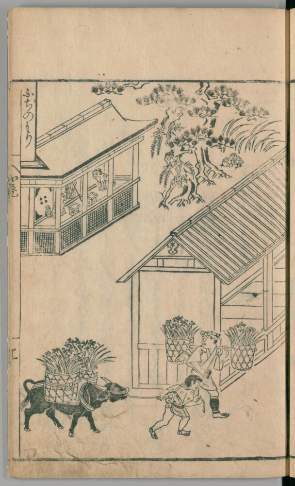 藤の森　中川喜雲 1658年刊行「京童」　出典：国立国会図書館デジタルコレクション