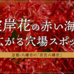 京都・八幡市の「若宮八幡宮」は彼岸花の赤い海が広がる穴場スポット