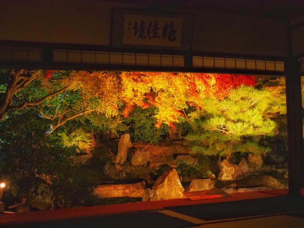 圓徳院の紅葉ライトアップ　2022年11月17日　撮影：MKタクシー