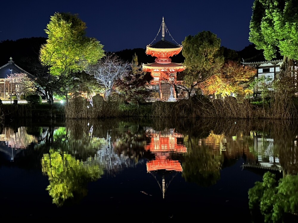 大覚寺の紅葉ライトアップ　2022年11月18日　撮影：MKタクシー