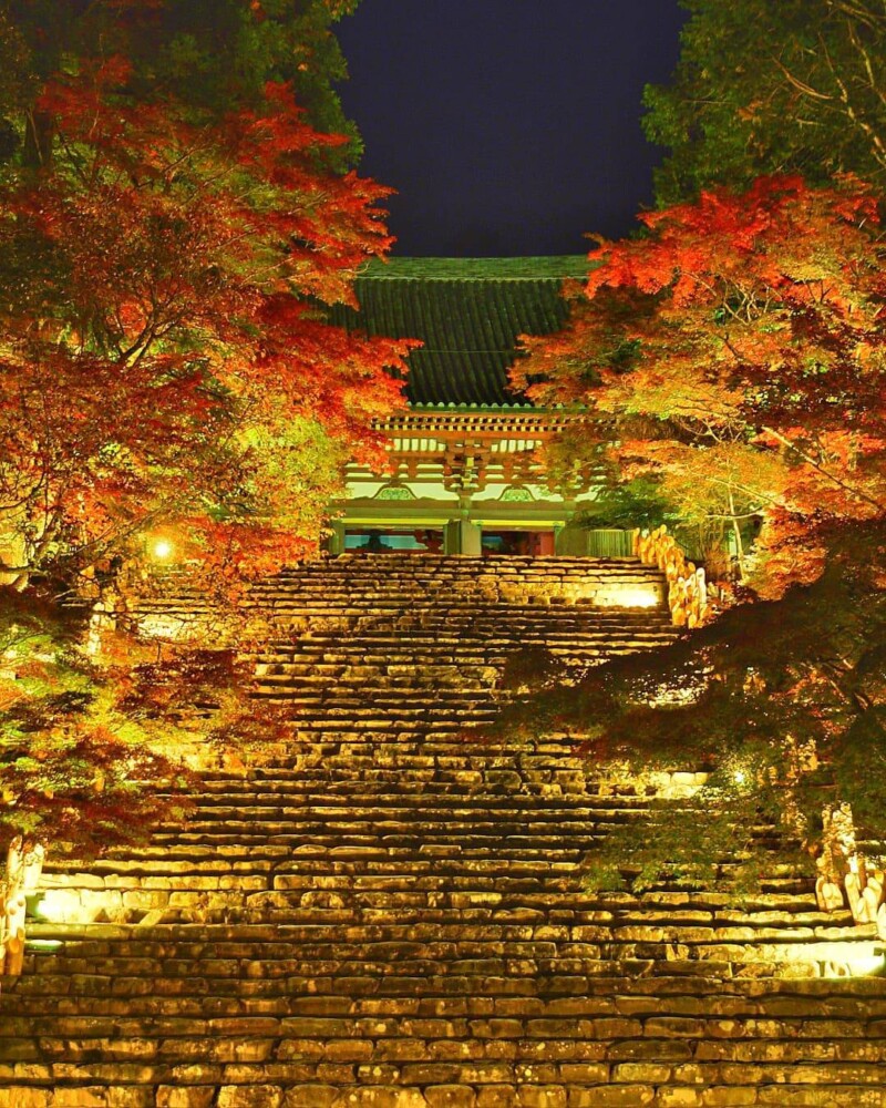 神護寺の紅葉ライトアップ　2021年　撮影：MKタクシー