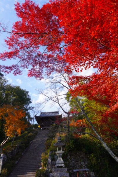 とこなげ山千手寺　2023年11月23日　撮影：MKタクシー