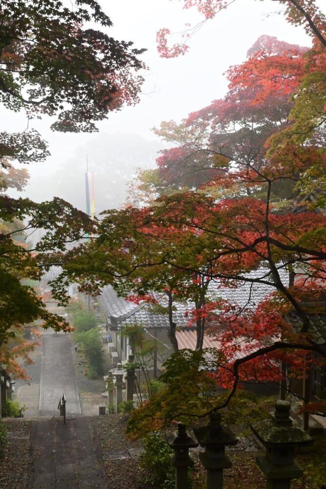 霧の西光寺　2022年11月11日　撮影：MKタクシー