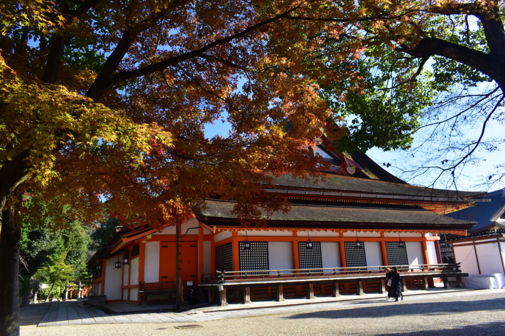 八坂神社・本殿と紅葉　見頃　2021年12月9日　撮影：MKタクシー