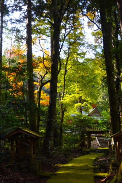 廣峯神社　2023年11月23日　撮影：MKタクシー