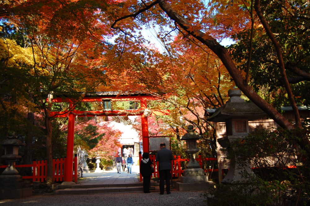 大原野神社・三の鳥居と紅葉　2007年11月25日　撮影：MKタクシー