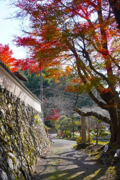 篠葉神社　2023年11月23日　撮影：MKタクシー