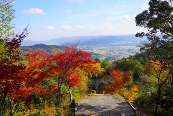 とこなげ山千手寺　2023年11月23日　撮影：MKタクシー