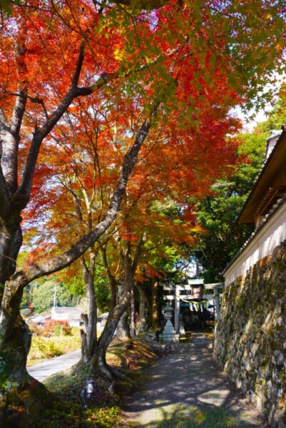 篠葉神社　2023年11月23日　撮影：MKタクシー