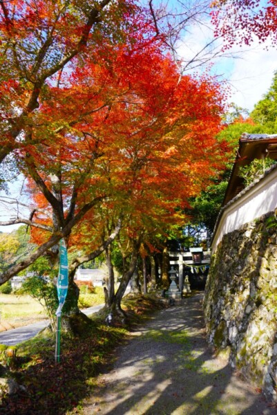 篠葉神社　2023年11月23日　撮影：MKタクシー